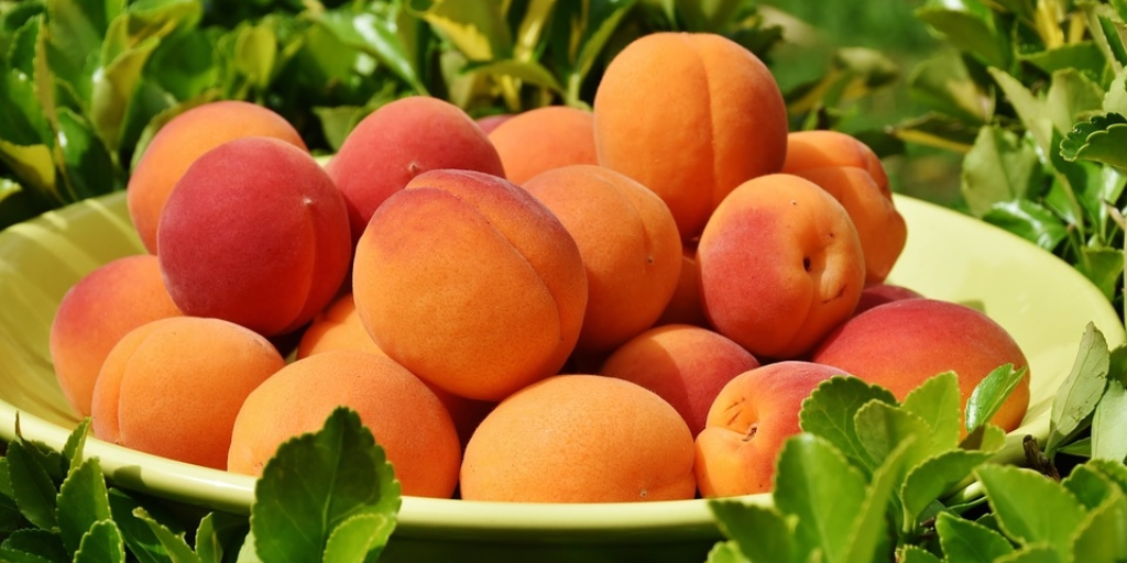 3 More Ways to Use Apricot Balsamic