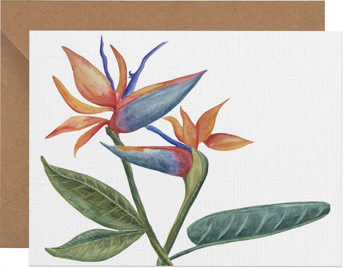 Pink Hill Press Cards