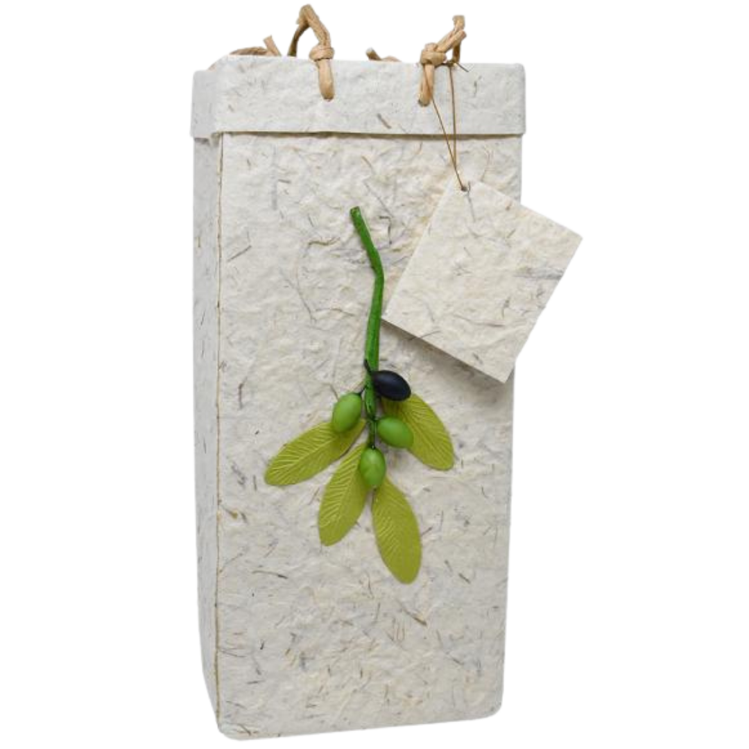 Double Bottle Gift Bag