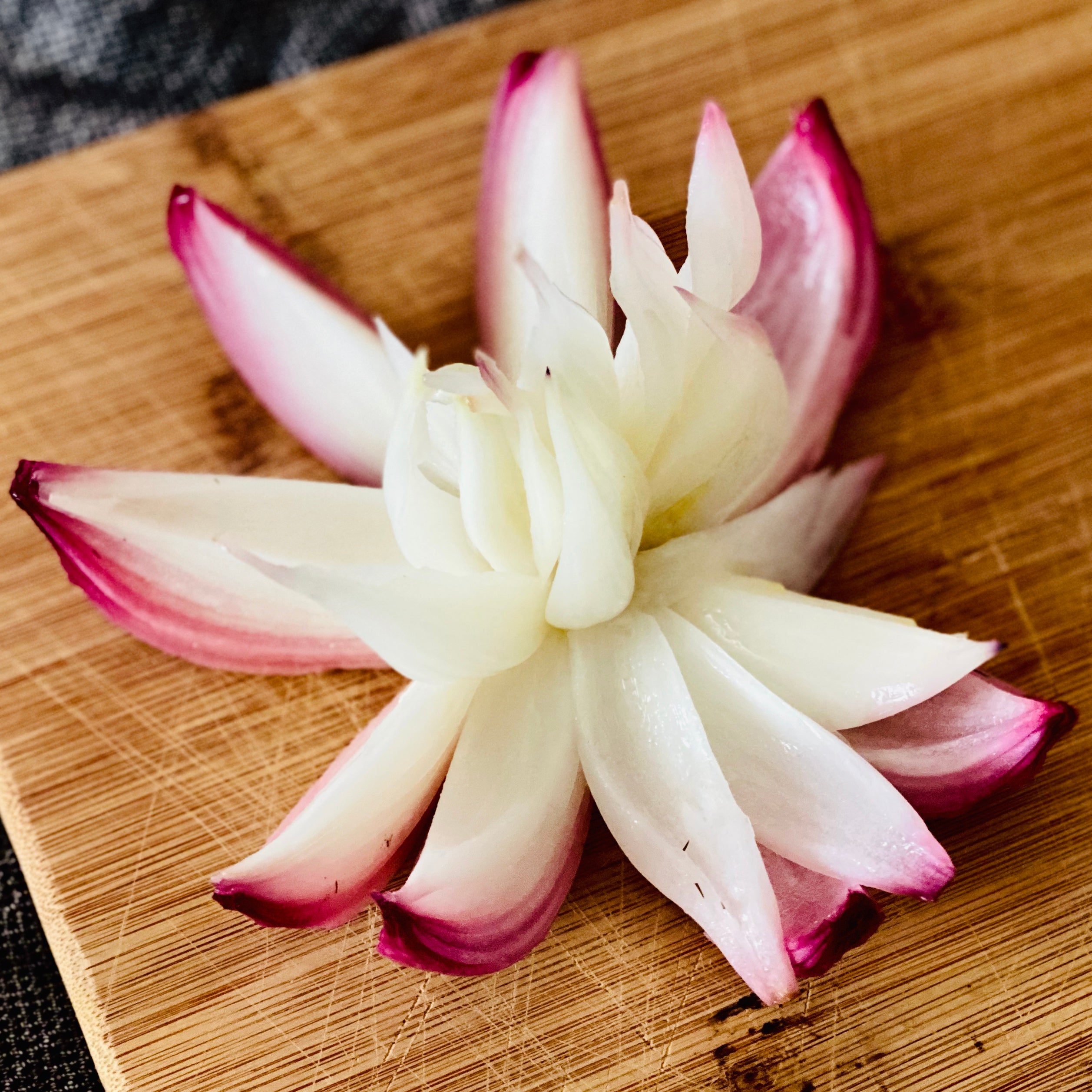 Red Onion Blossom