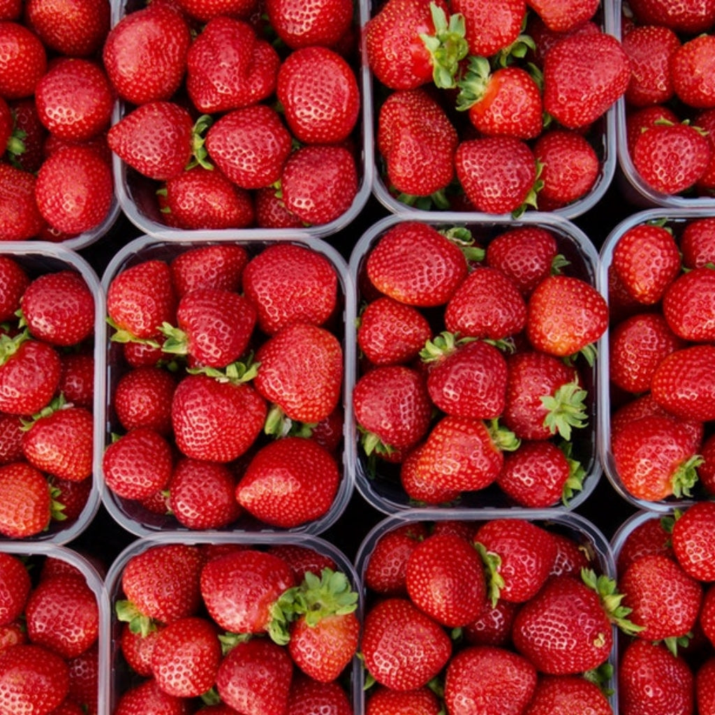 Chilled Strawberry Soup