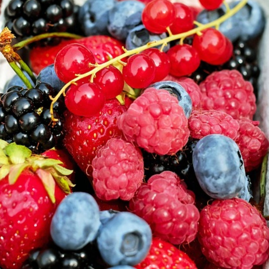 Summer Berry Tartlet