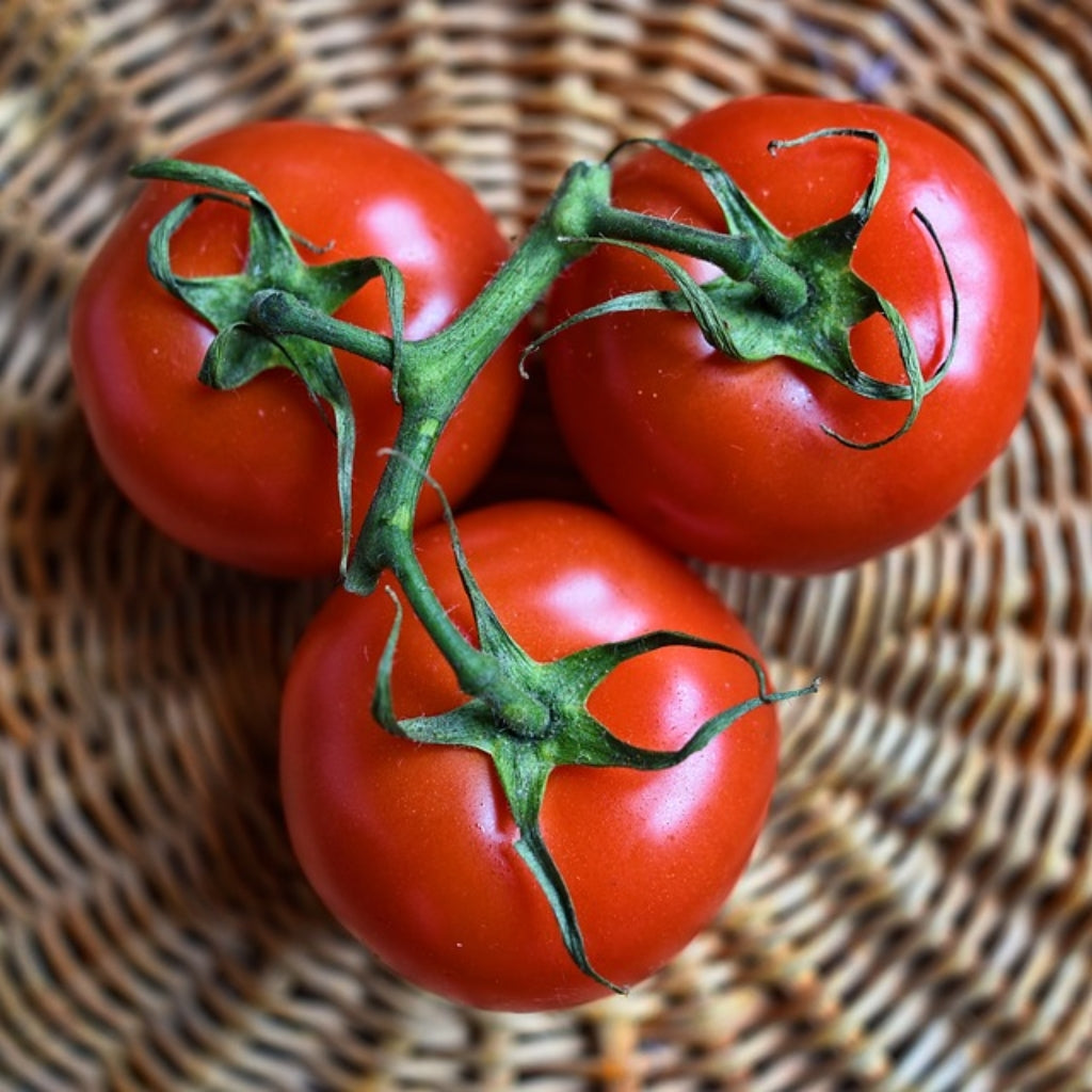 Tomato Basil Mozzarella Salad